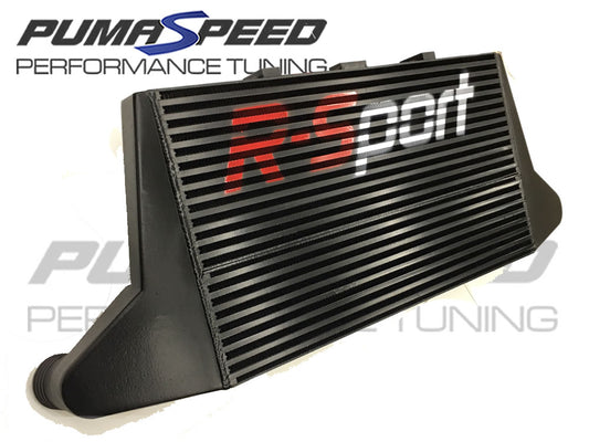 R-Sport Pro 450 Intercooler Fiesta ST180